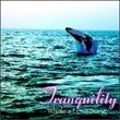 Tranquility: Whale's Love Song