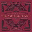Jeff Harms: Big Amazing Songs [Audio CD]