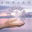 Healing Touch: Music for Reiki & Meditation 2