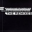 The End Is The Beginning (Remixes)