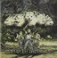 Tales of Purefly by Man With a Mission (2014-05-04)