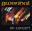 Gwendal En Concert