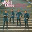 Wild Ones Album