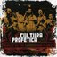 Tribute to the Legend Bob Marley (W/Dvd)