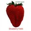 Bob Belden Presents: Strawberry Fields
