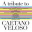 Tribute to Caetano Veloso