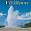 Nature's Symphony from Yellowstone