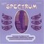 Spectrum: The Rise to Fame of the Stanshawe (Bristol) Band