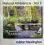 Vol. 2-Natural Ambience: Babbling Brook