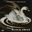 Song of the Black Swan