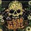 Dead Daisies by Spitfire