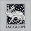 Jackalope