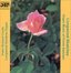 Longwood Sketches - Organ Music of Firmin Swinnen