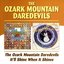 Ozark Mountian Daredevils/It'll Shine When It Shin