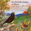 Sounds of Nature: Birds Awakening in Bresse
