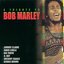 Tribute to Bob Marley { Various Artists }