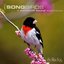 Songbirds: A Surround Sound Experience [SACD]