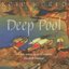 Deep Pool