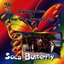 Soca Butterfly