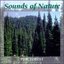 Sounds Of Nature: Pine Forest