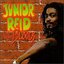 Junior Reid & Bloods