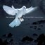Karl Jenkins: The Armed Man, A Mass for Peace