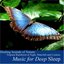 Healing Sounds of Nature: Tropical Rainforest At Night, Waterfall and Crickets