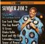 Sinbad's 70's Soul Music Festival II Summer Jam 2 the HBO Soundtrack