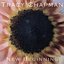 New Beginning by Tracy Chapman (1995-01-01)