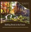 Babling Brook in the Forest: Nature Sounds, Water and Birds for Meditation, Deep Sleep, Spa, Healing, Relaxation