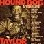 Tribute to Hound Dog Taylor