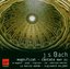Bach: Magnificat/Cantata BWV 21 - Sigiswald Kuijken, Le Petite