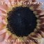 New Beginning by TRACY CHAPMAN (1995-10-20)