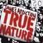 True Nature