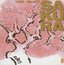 Sakura (Cherry)
