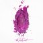 The Pinkprint [Deluxe Edition][Edited]