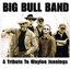 Bill Bull Band: A Tribute to Waylon Jennings