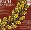 Bach: Cantatas, BWV 173a, 173, 26