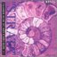 Strata/Chamber Music by Shin-Ichiro Ikebe, Vol.2