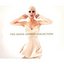 The Annie Lennox Collection (Deluxe Edition) (Incl. 2 CD's + DVD)