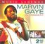 Music Legends: Marvin Gaye in Concert (W/Dvd)