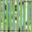 Evergreen Noise Is Flexible