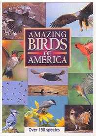 Amazing Birds of America