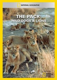 The Pack: Wild Dogs & Lions