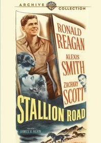 Stallion Road