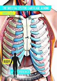 Body of Evidence: Skeletal System, Cartilage, & Bone