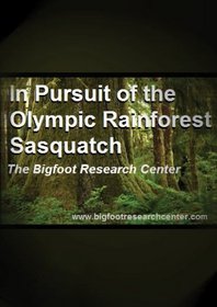 In Pursuit of the Olympic Rainforest Sasquatch