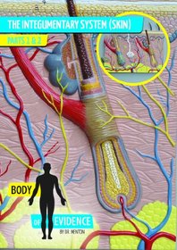 Body of Evidence: The Integumentary System