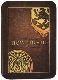 The Twilight Saga: New Moon (2-Disc DVD Steelbook Special Edition)