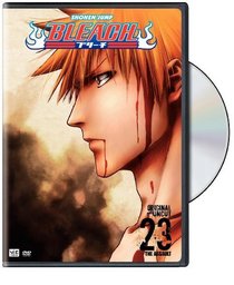 Bleach, Vol. 23